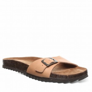 Bearpaw Ava Women Sandals Brown | ZQU7540BD