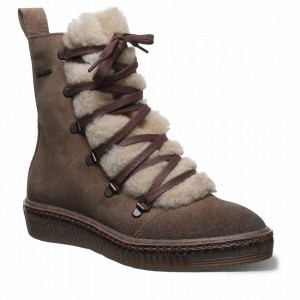 Bearpaw Celeste Women Boots Beige | MAQ9037ZA