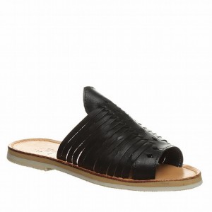 Bearpaw Rosa Women Sandals Black | ZQX4568DX