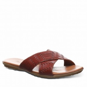 Bearpaw Ximena Women Sandals Brown | AWI1429WA