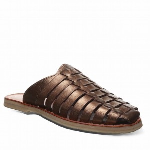 Bearpaw Zelda Women Sandals Brown | UHQ854IR