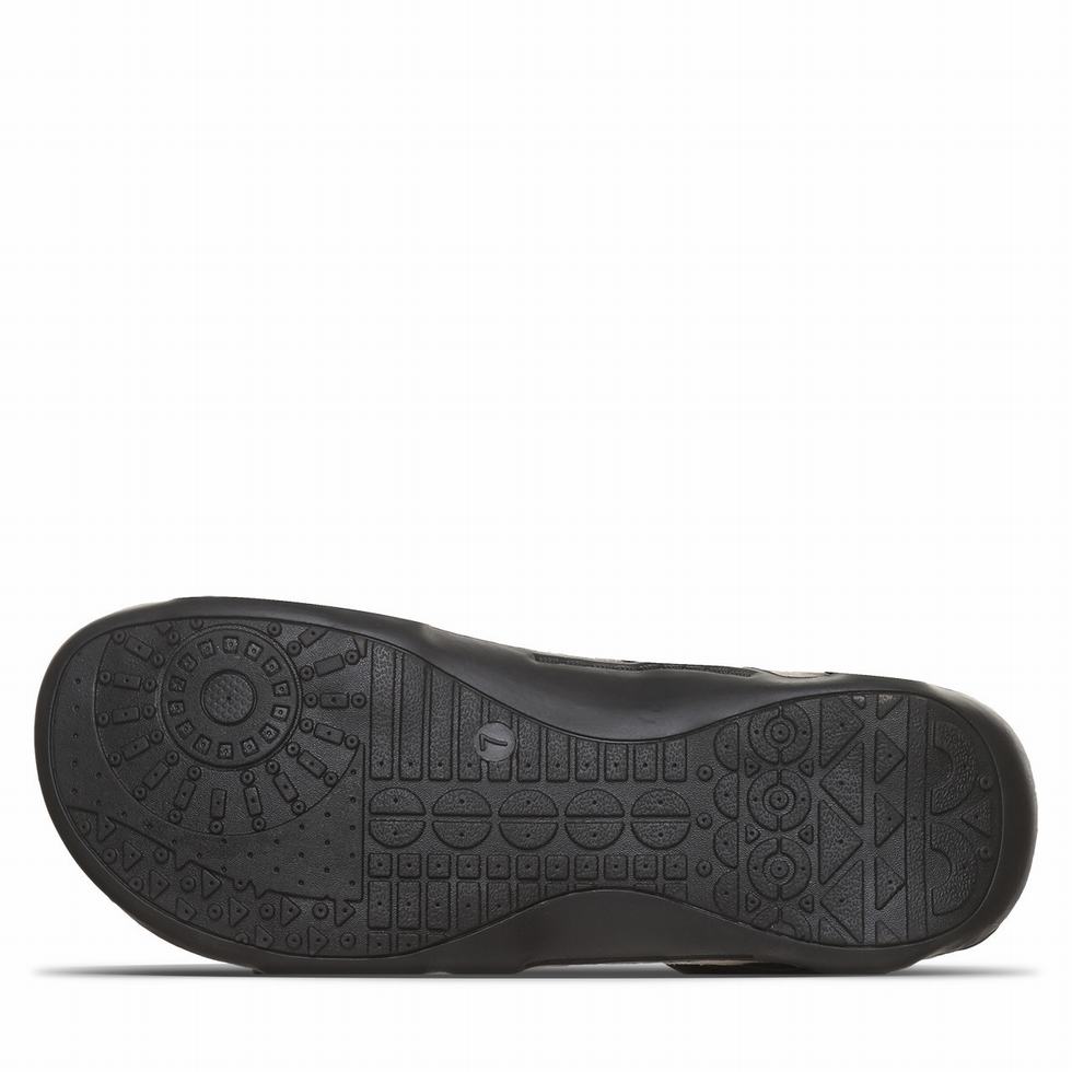 Bearpaw Acacia Women Sandals Black | SUA6058DF