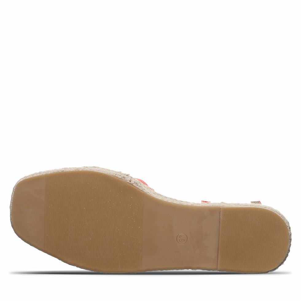 Bearpaw Affogato Women Sandals Pink | TBI6363RI