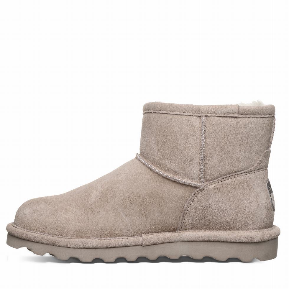 Bearpaw Alyssa Wide Women Boots Brown | GER5997NA