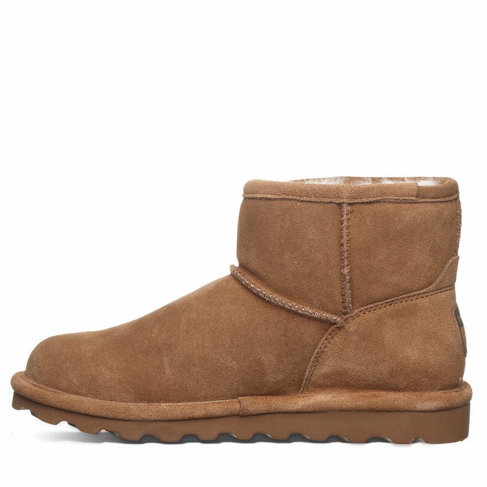 Bearpaw Alyssa Wide Women Boots Brown | JDO4296PS