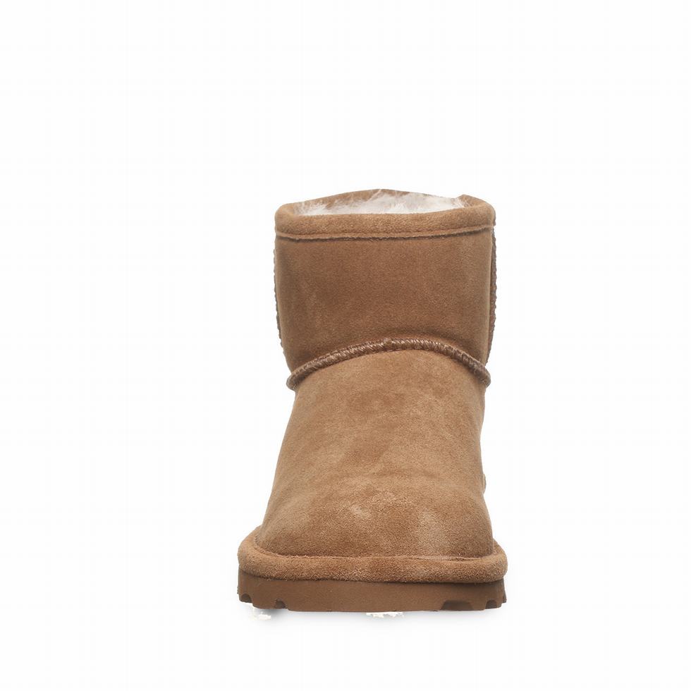 Bearpaw Alyssa Wide Women Boots Brown | JDO4296PS