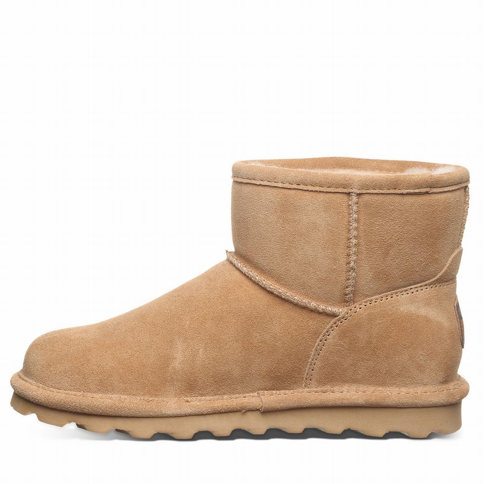 Bearpaw Alyssa Wide Women Boots Brown | VYE1854PG