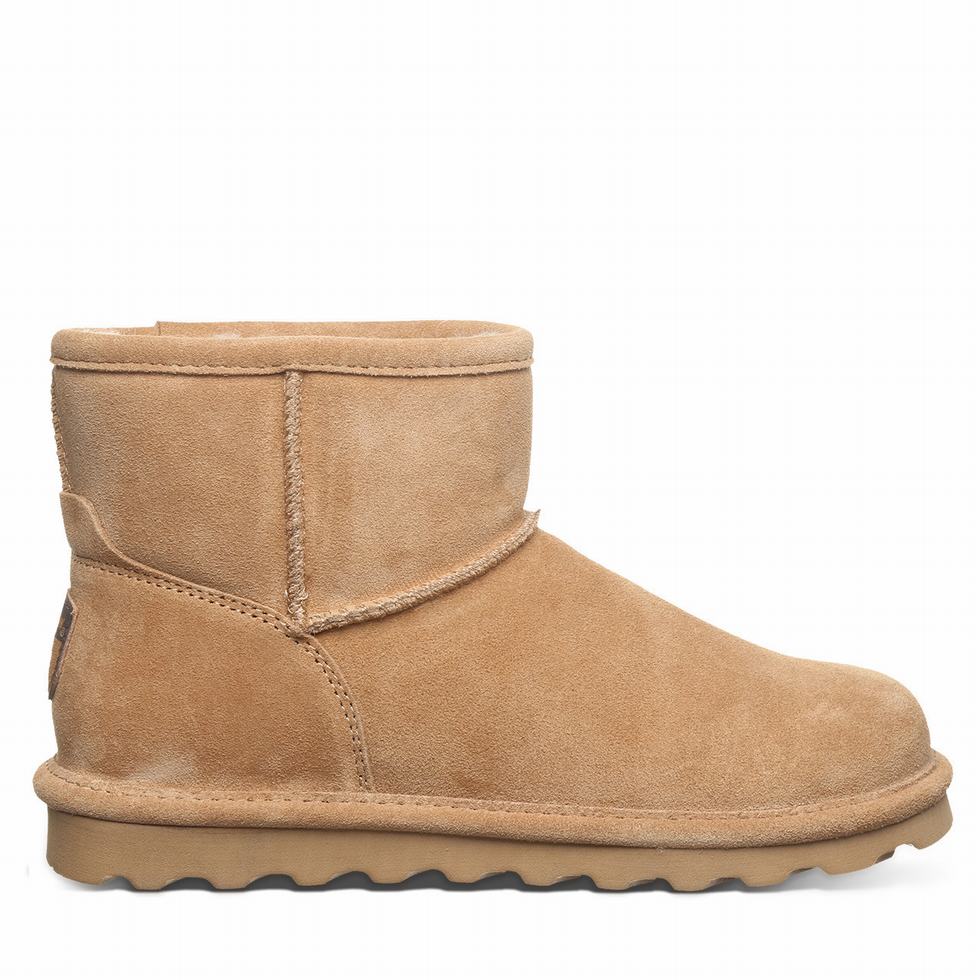 Bearpaw Alyssa Wide Women Boots Brown | VYE1854PG