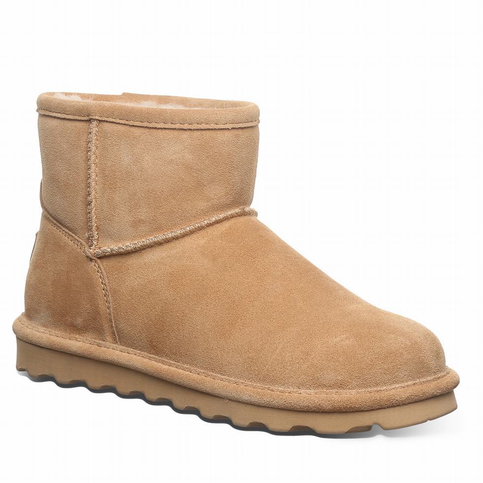 Bearpaw Alyssa Wide Women Boots Brown | VYE1854PG