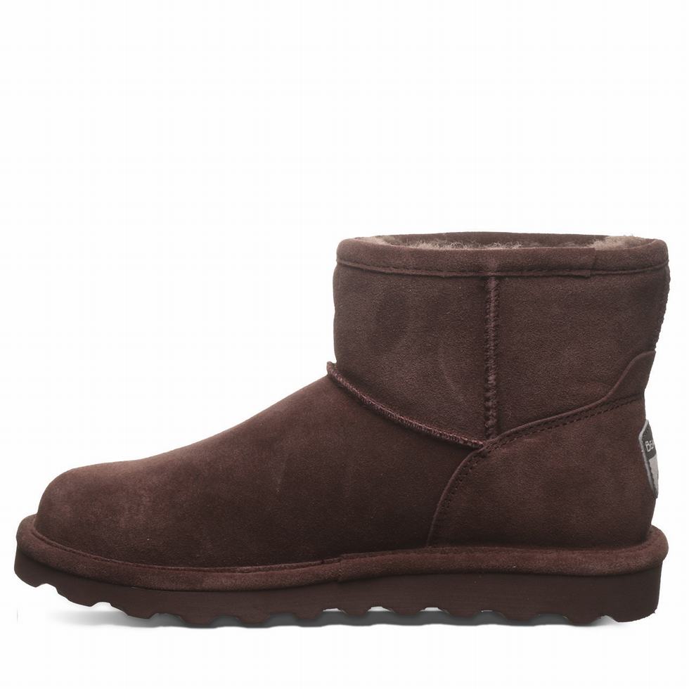 Bearpaw Alyssa Women Booties Brown | BQQ9454GW