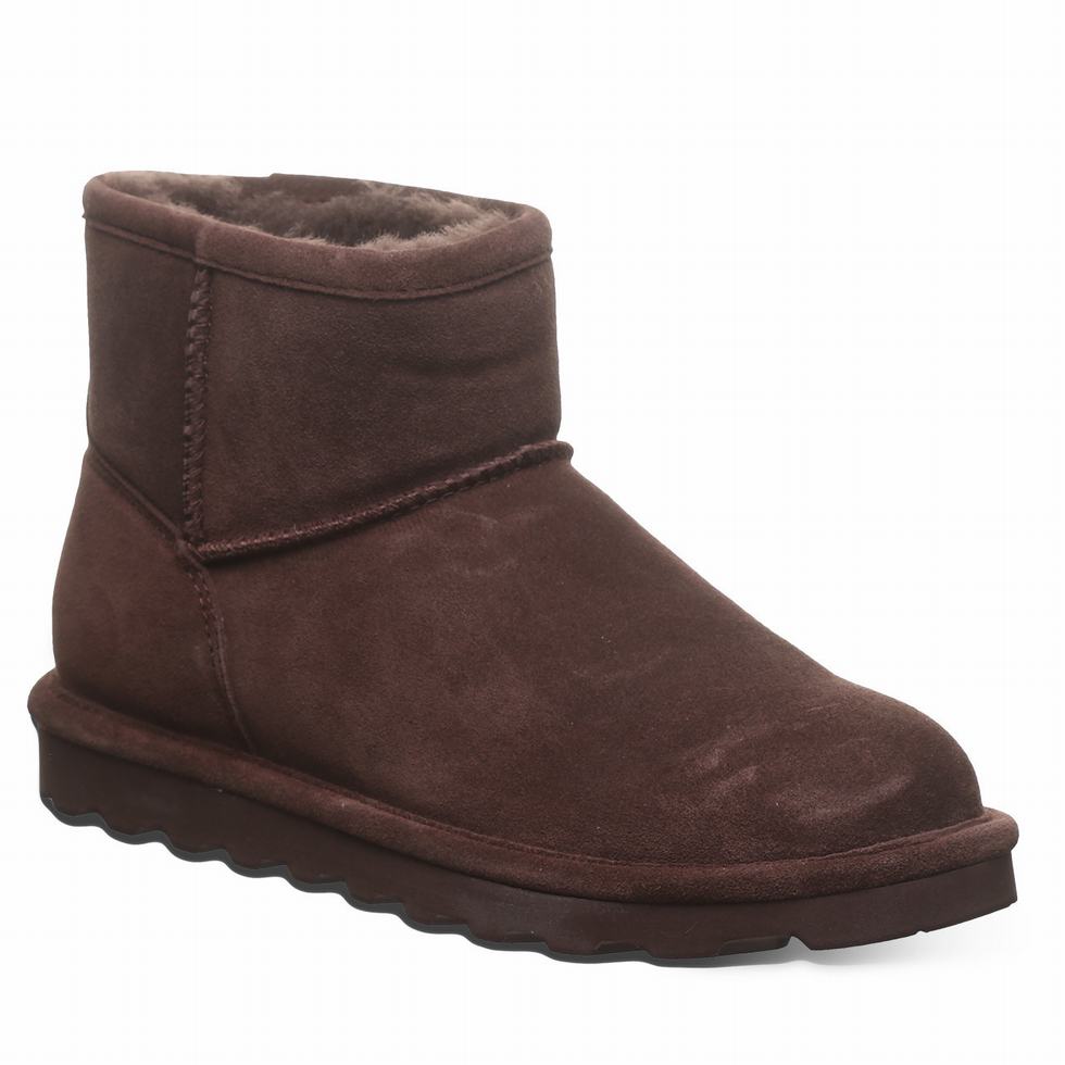 Bearpaw Alyssa Women Booties Brown | BQQ9454GW