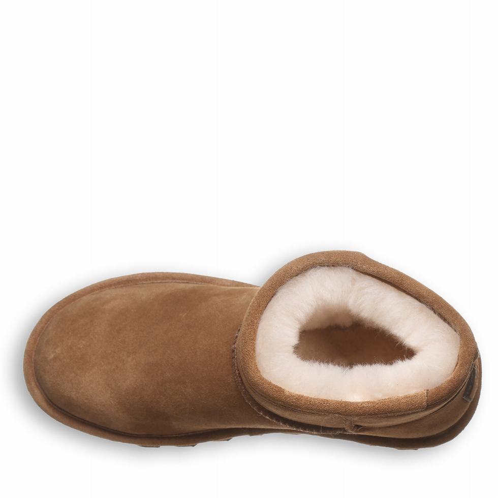 Bearpaw Alyssa Women Booties Brown | UJQ4766CE