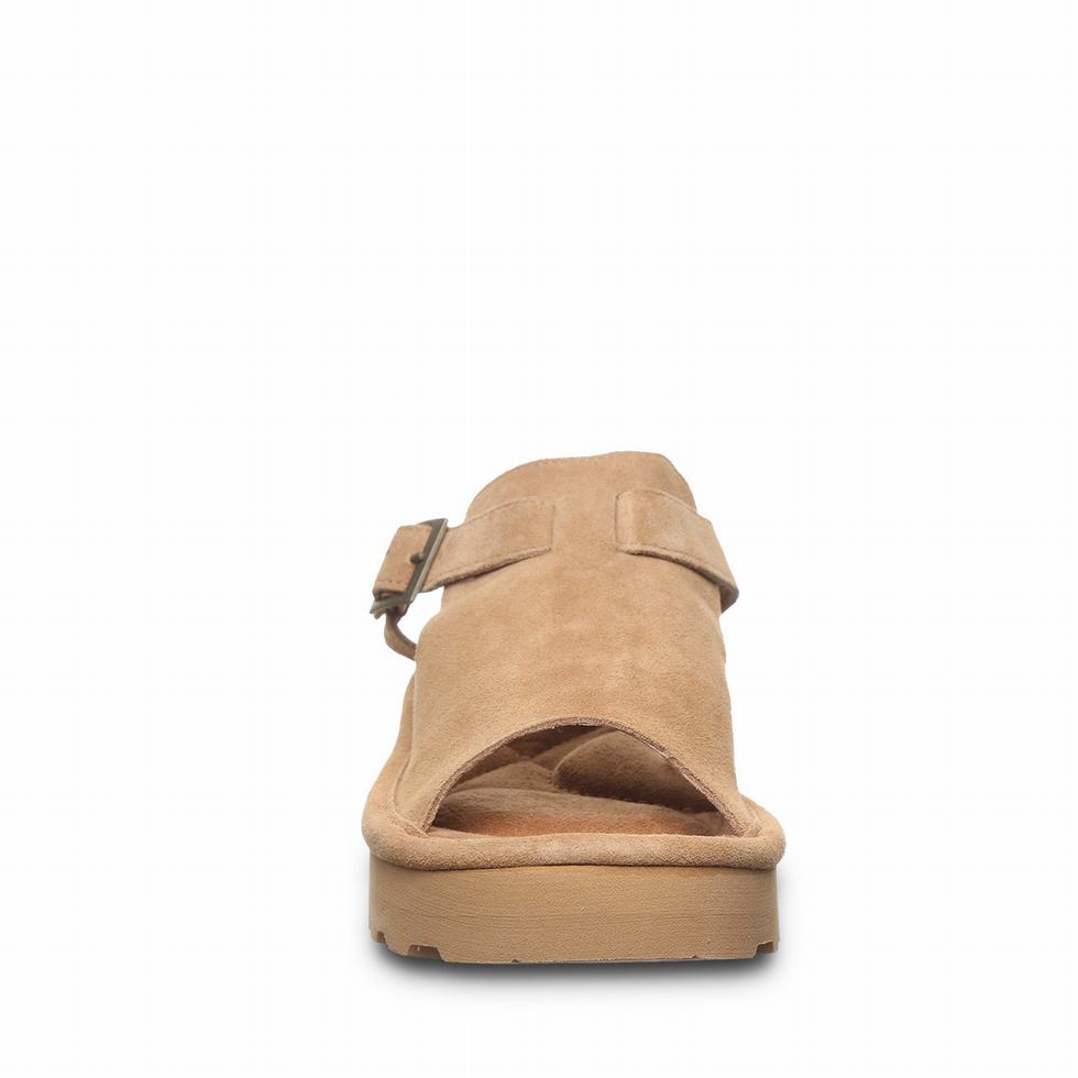 Bearpaw Ascend Women Sandals Brown | SGM7237WQ