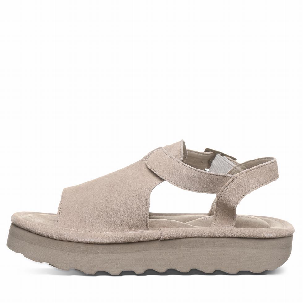 Bearpaw Ascend Women Sandals Grey | QZN9557UT