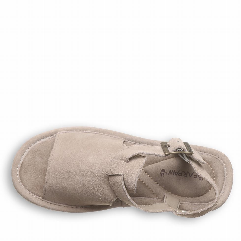 Bearpaw Ascend Women Sandals Grey | QZN9557UT