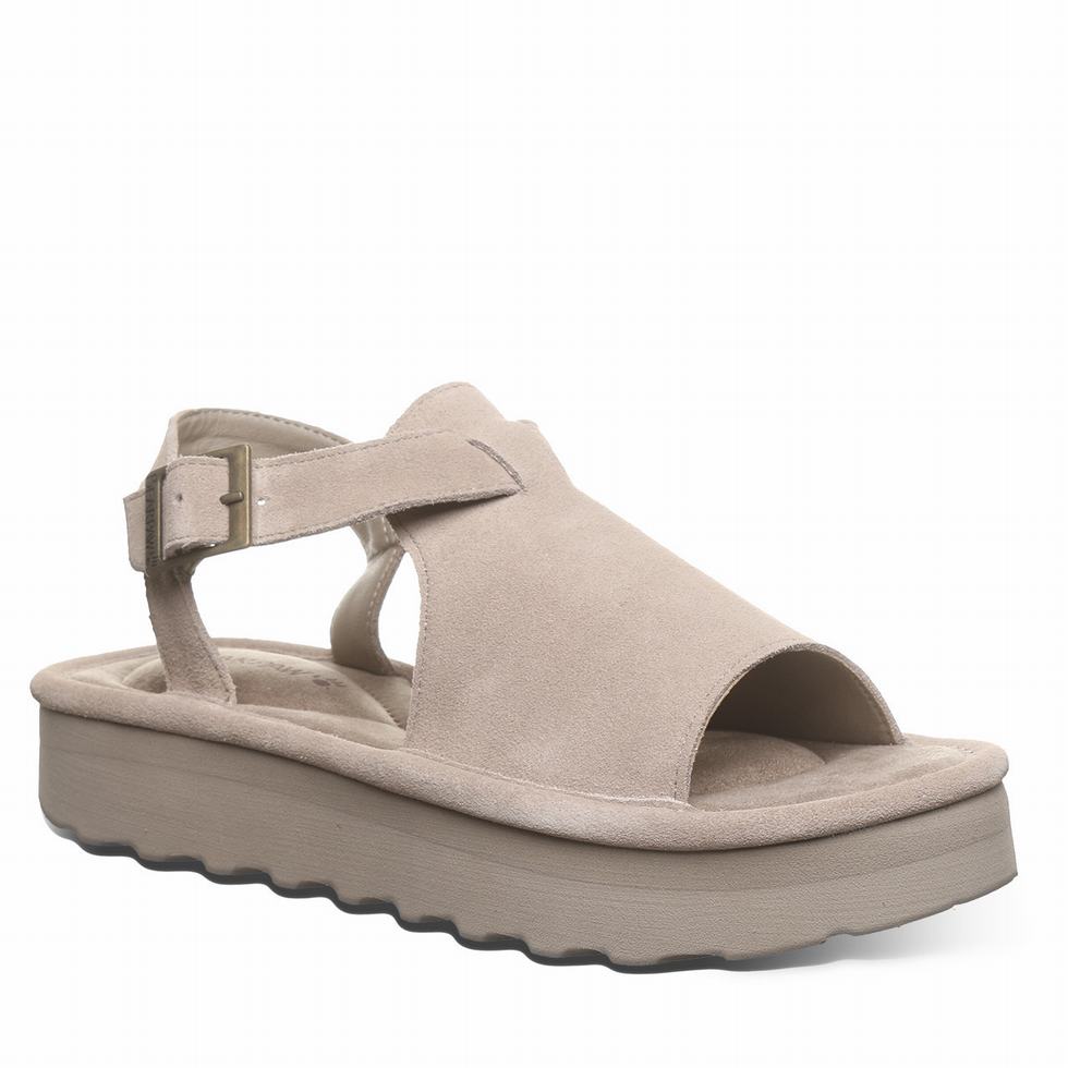 Bearpaw Ascend Women Sandals Grey | QZN9557UT