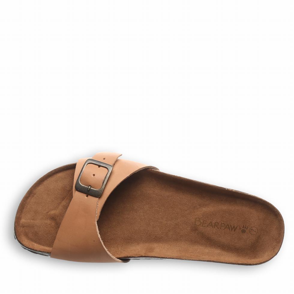 Bearpaw Ava Women Sandals Brown | ZQU7540BD