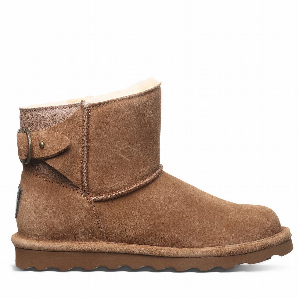 Bearpaw Betty Women Booties Brown | IEH6189NF