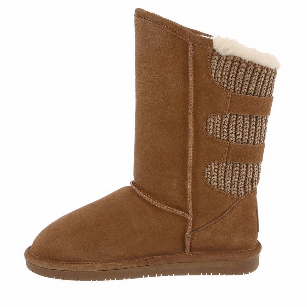 Bearpaw Boshie Women Tall Boots Brown | TNZ3130QK