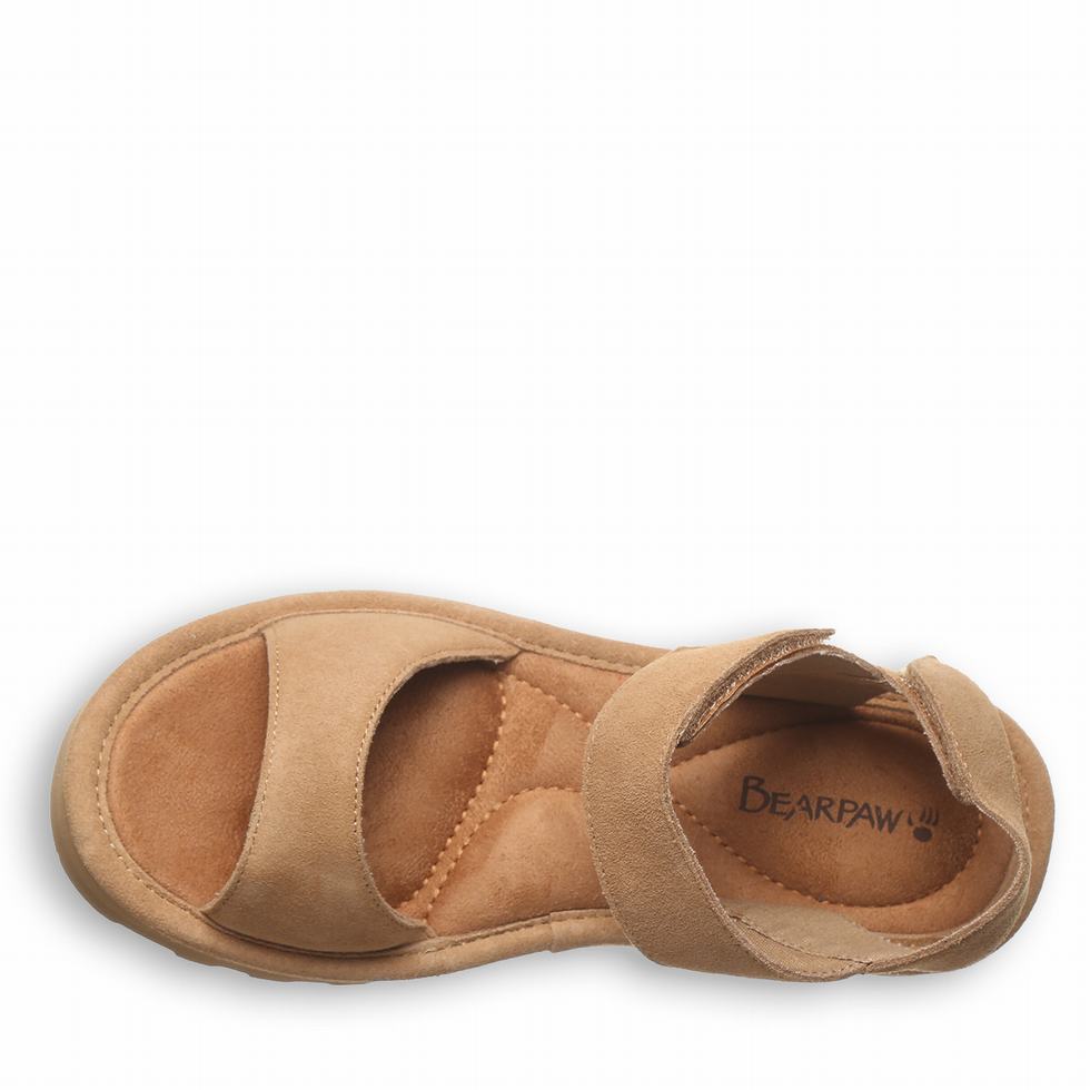 Bearpaw Crest Women Sandals Brown | RLP2896AD