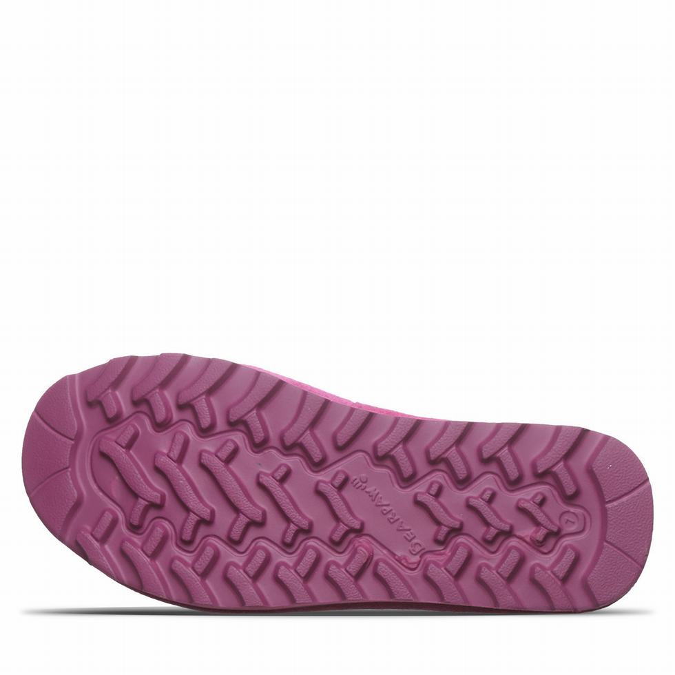 Bearpaw Crest Women Sandals Purple | JUD8852FG