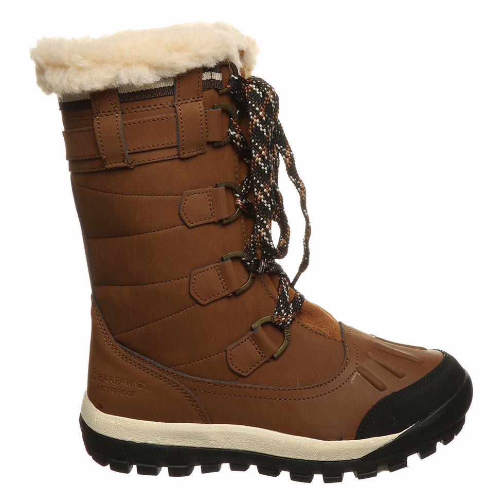 Bearpaw Desdemona Women Hiking Boots Brown | GZL939HS