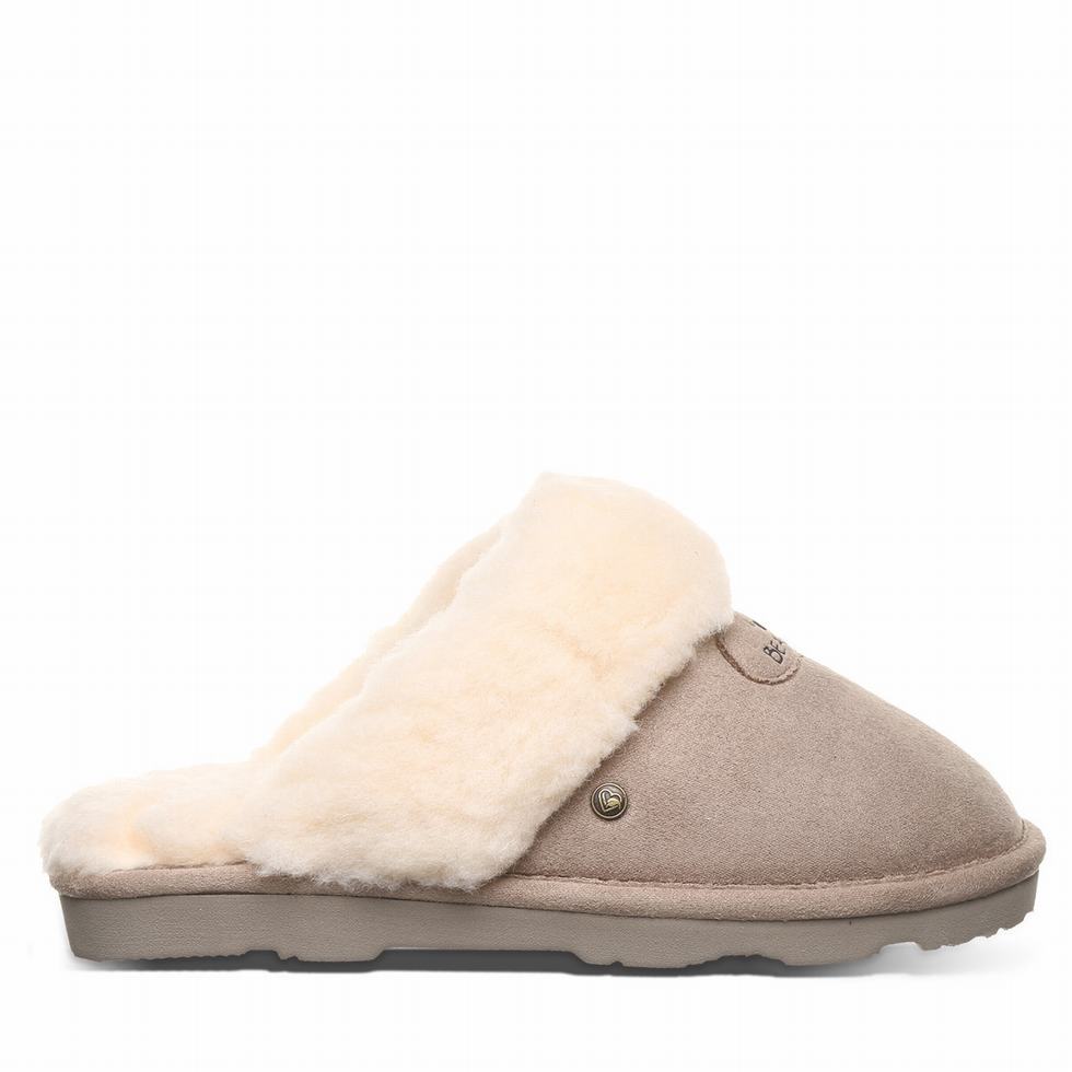 Bearpaw Effie Vegan Women Slippers Brown | ALQ6846OW