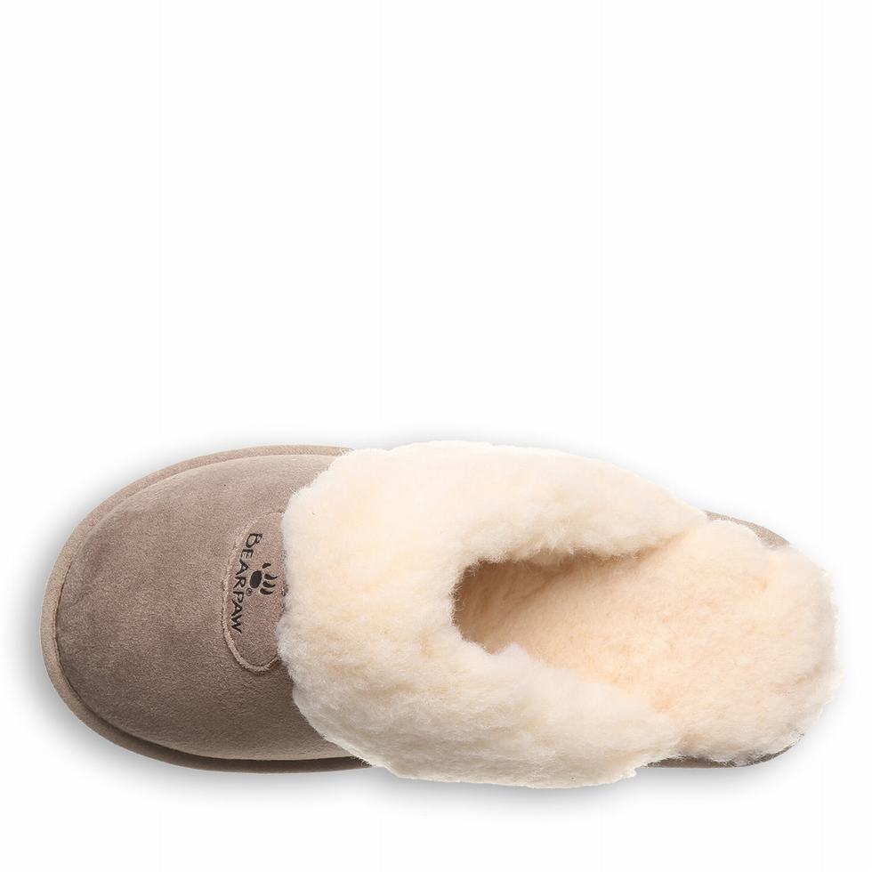 Bearpaw Effie Vegan Women Slippers Brown | ALQ6846OW