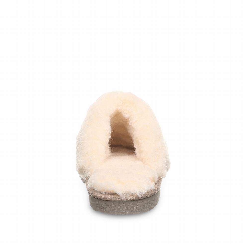 Bearpaw Effie Vegan Women Slippers Brown | ALQ6846OW