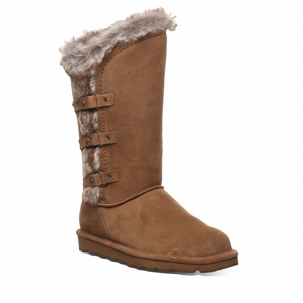 Bearpaw Emery Women Boots Brown | ERG2325IS