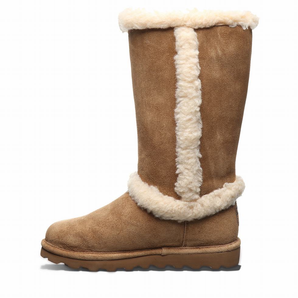 Bearpaw Kendall Women Boots Brown | CEY581JN