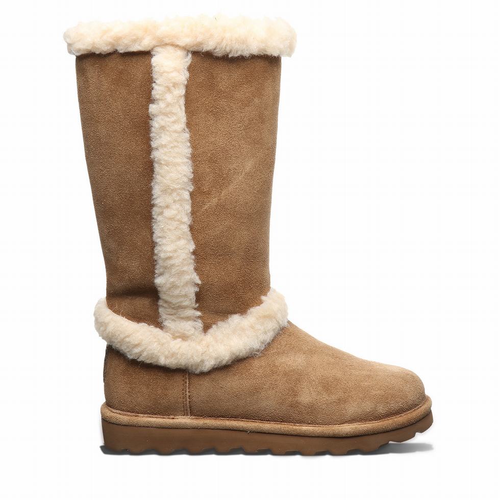 Bearpaw Kendall Women Boots Brown | CEY581JN