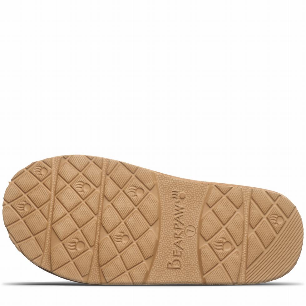 Bearpaw Loki II Women Slippers Brown | KCJ3066II