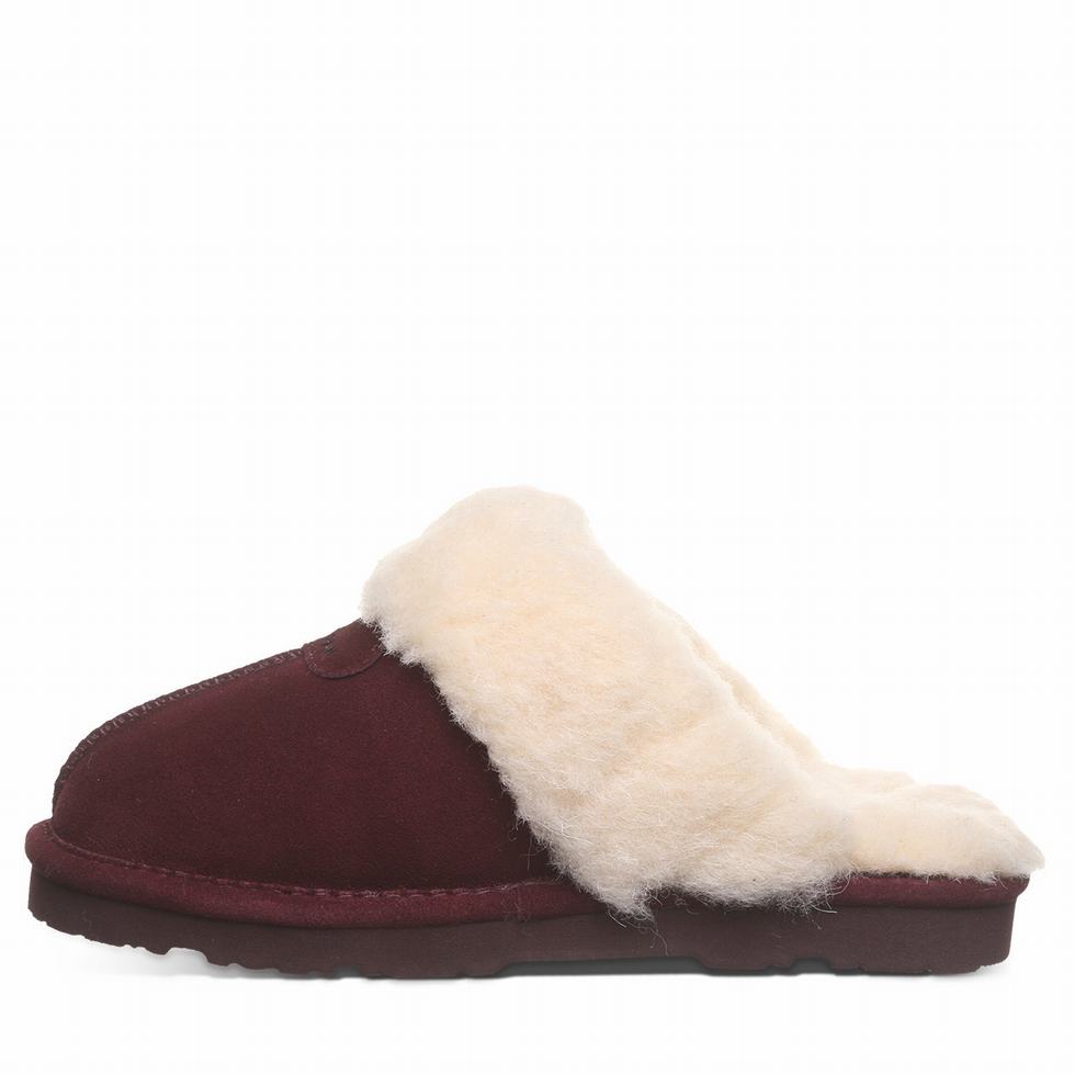 Bearpaw Loki II Women Slippers Purple | VAD2584YA