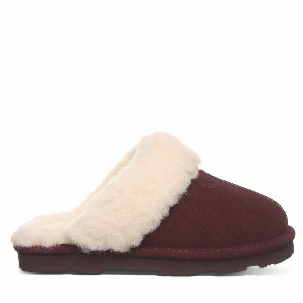 Bearpaw Loki II Women Slippers Purple | VAD2584YA