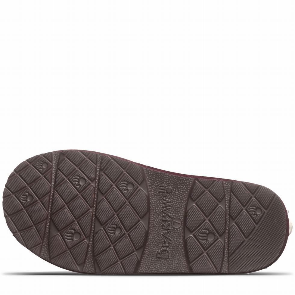 Bearpaw Loki II Women Slippers Purple | VAD2584YA