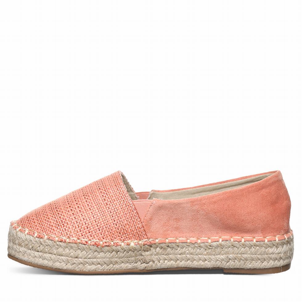 Bearpaw Macchiato Women Espadrilles Pink | XRM311UL