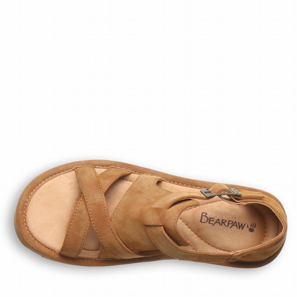 Bearpaw Pinnacle Women Sandals Brown | VBN4567TF