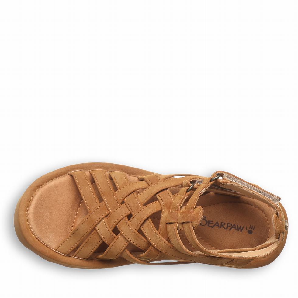 Bearpaw Prominence Women Sandals Brown | TPD5054UX