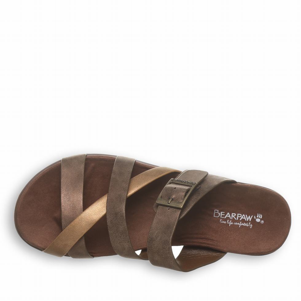 Bearpaw Rhodes Women Sandals Brown | TAC2898QK