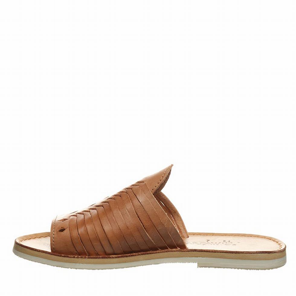 Bearpaw Rosa Women Sandals Brown | FUB9894IQ