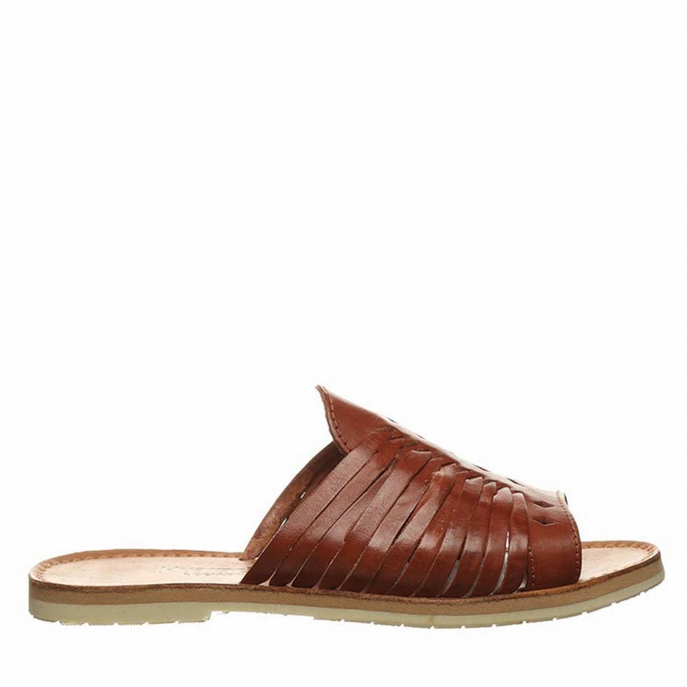 Bearpaw Rosa Women Sandals Brown | TBV6782EQ