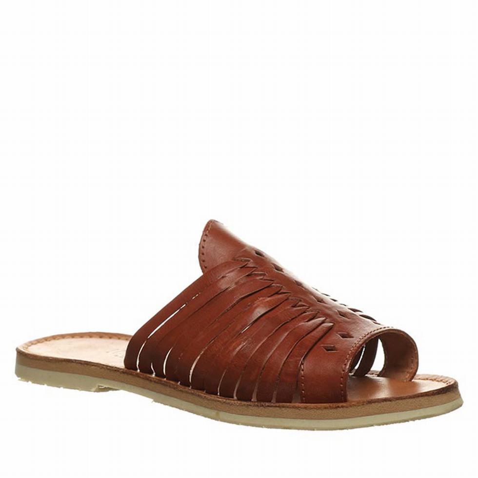 Bearpaw Rosa Women Sandals Brown | TBV6782EQ