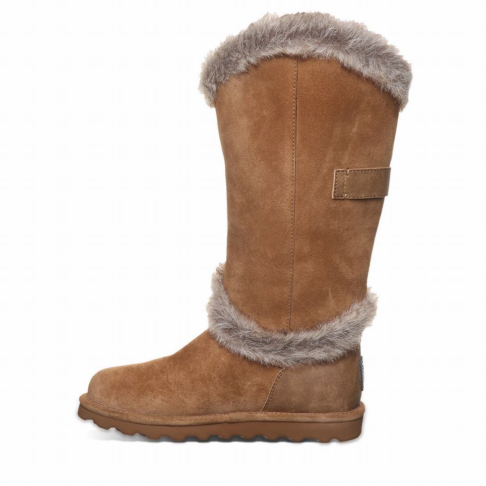 Bearpaw Sheilah Women Boots Brown | XUI3434BK