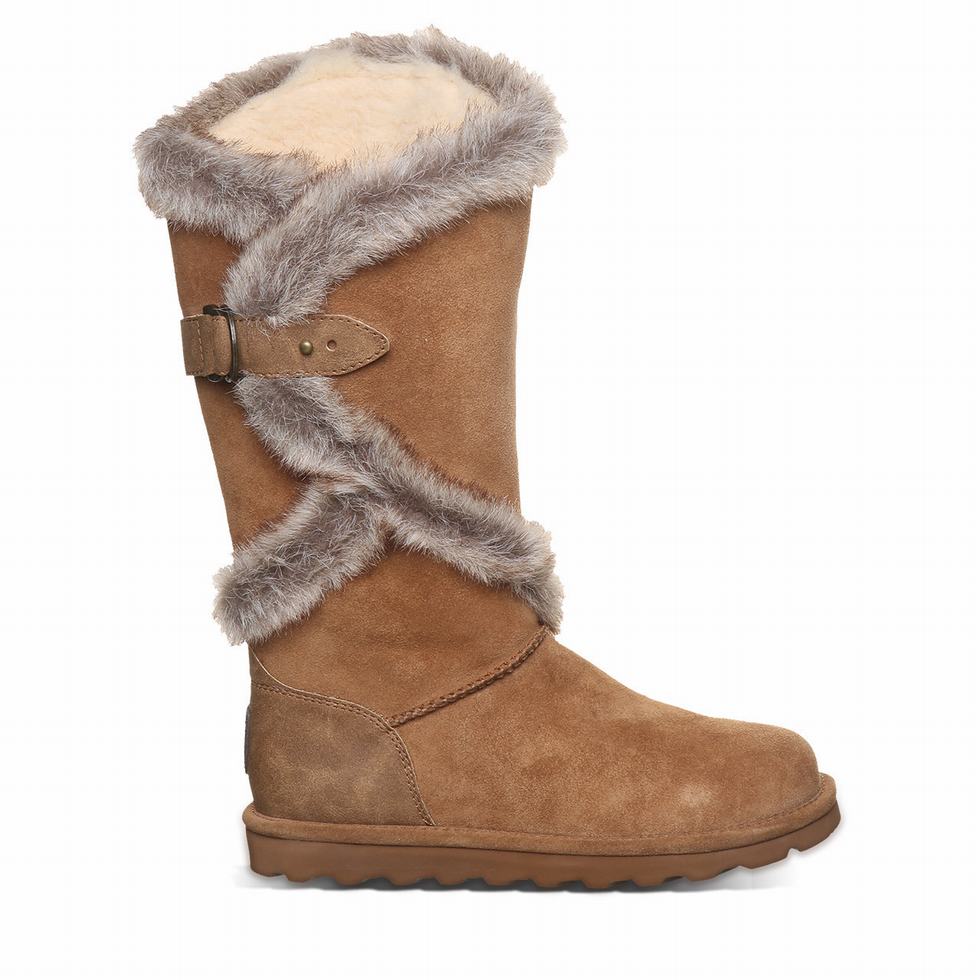 Bearpaw Sheilah Women Boots Brown | XUI3434BK