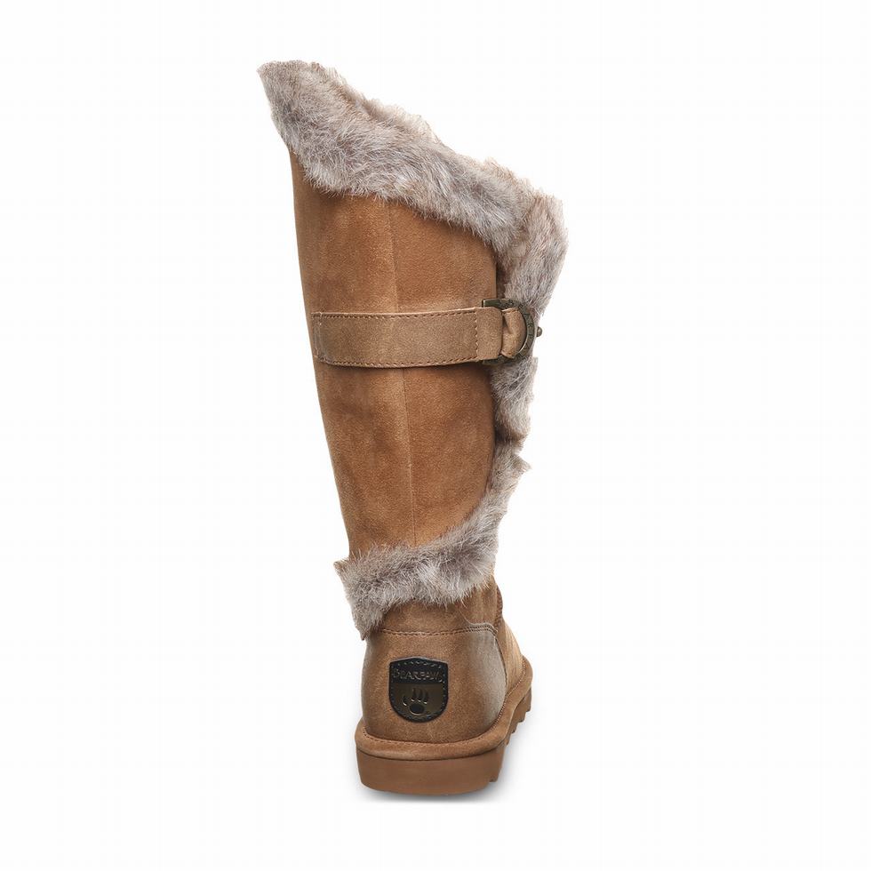 Bearpaw Sheilah Women Boots Brown | XUI3434BK