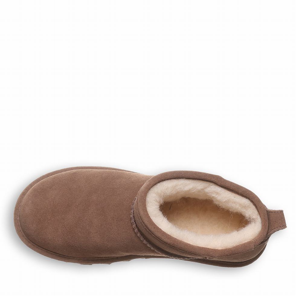 Bearpaw Shorty Women Booties Brown | SEF4087GX