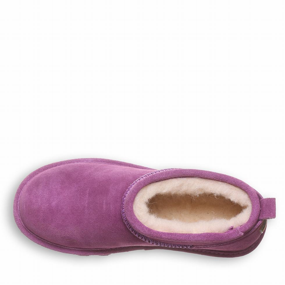 Bearpaw Super Shorty Women Snow Boots Purple | WGG2023WZ