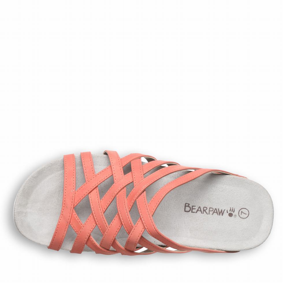 Bearpaw Zinnia Women Sandals Pink | PKW7426NQ