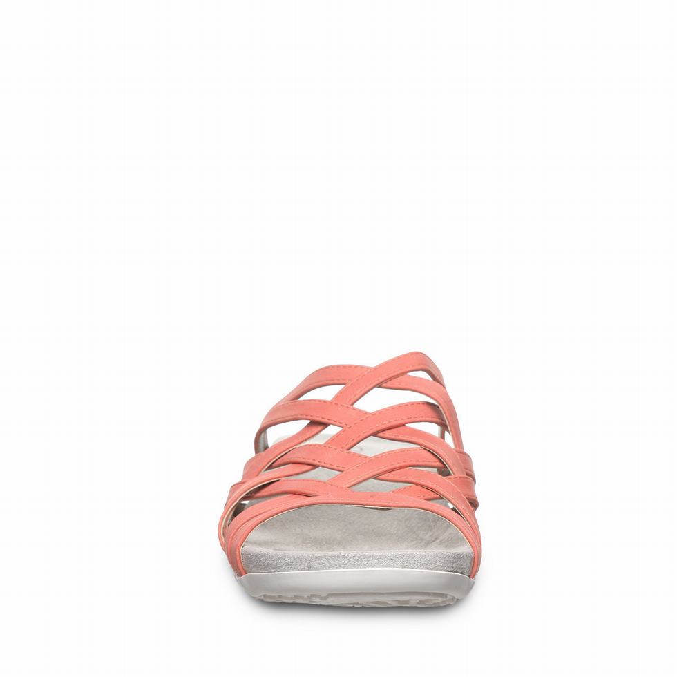 Bearpaw Zinnia Women Sandals Pink | PKW7426NQ